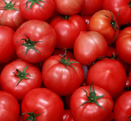 Linha de produção automática da ketchup de tomate 6,5 toneladas pela hora