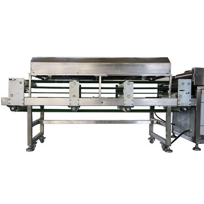 Linha de Produção de Tortilhas 50hz Equipada para Fabricação de Tortilhas em Plantas de Processamento de Alimentos