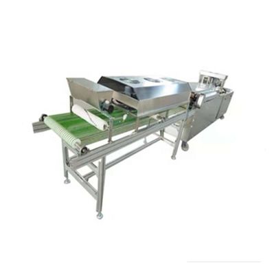 Máquina de tortilhas comercial de prata de grau automático automático de fila única