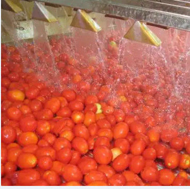 Linha de processamento automática alta velocidade da pasta de tomate