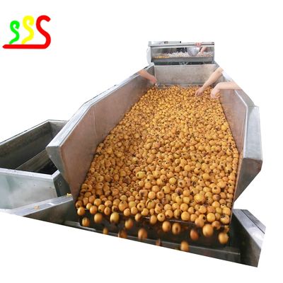 Linha de produção concentrada da polpa do fruto para framboesas das morangos de Blueberrues