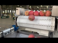 Linha de processamento de frutas de aço inoxidável com embalagem automática